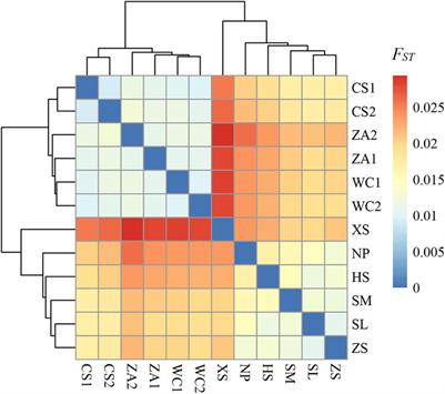 Whole-genome resequencing reveals genetic diversity and adaptive evolution in Chinese honeybee (Apis cerana cerana) in Guizhou, China